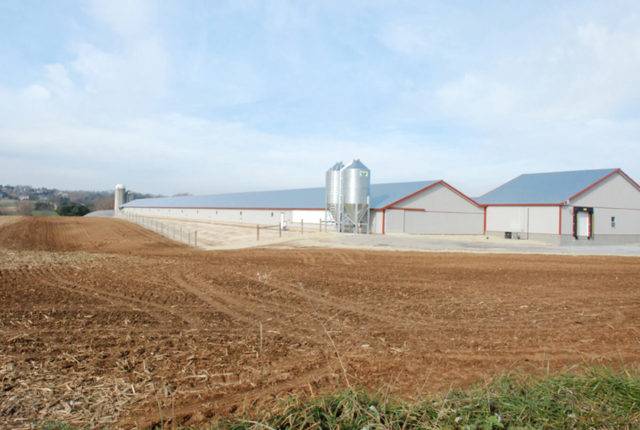 DSC_0170-Farm-photo-for-Horizon