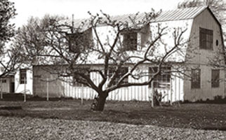 1947 Year Image