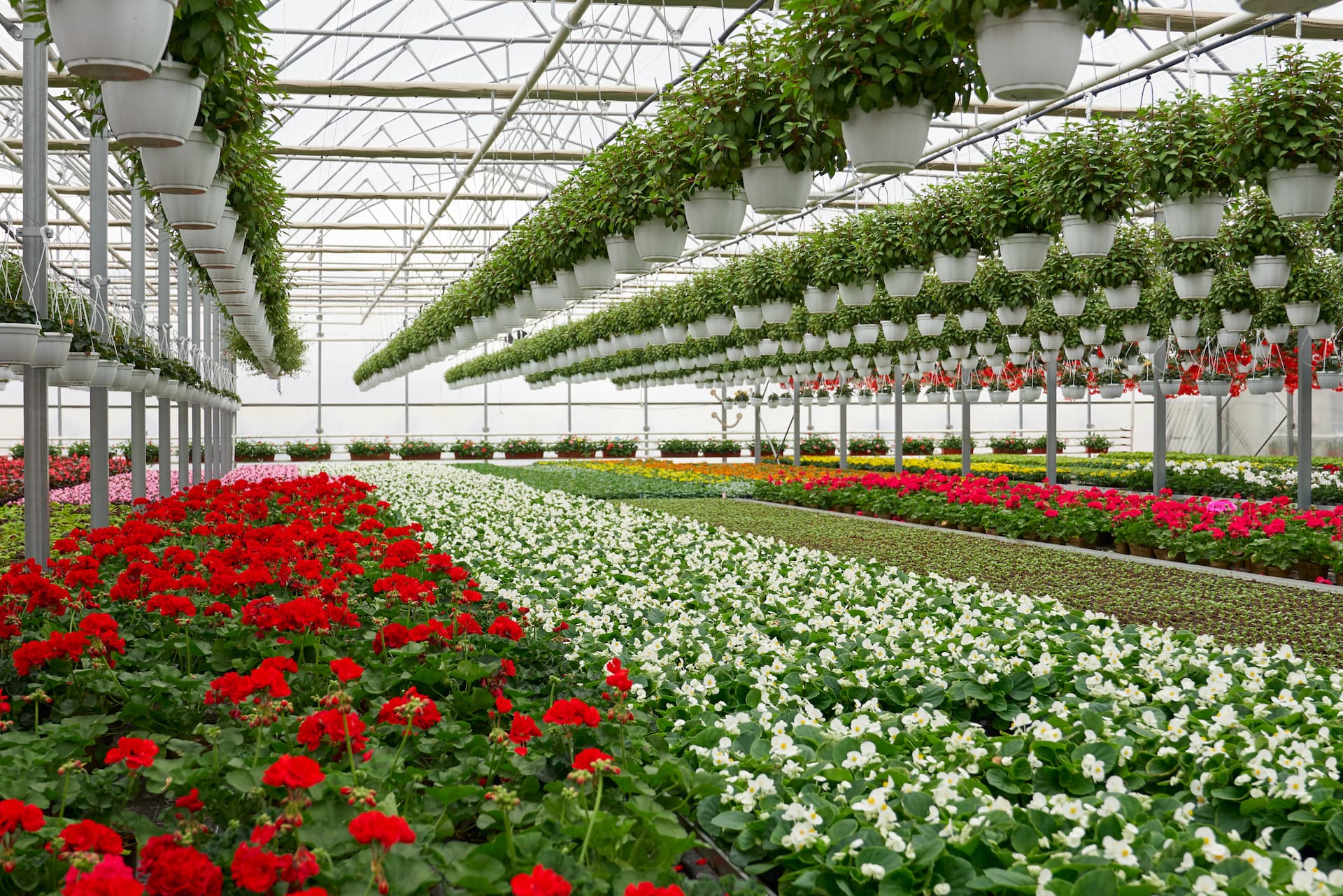 Horticulture Image
