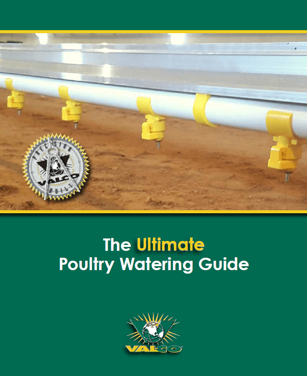 The Ultimate Poultry Watering Guide Image