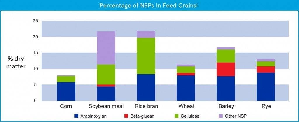 percentage-nsps_new1-1024x419
