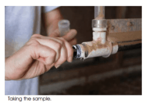 Swabbing sample