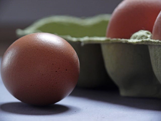 21 Fun Egg Facts for World Egg Day 2021 - VAL-CO